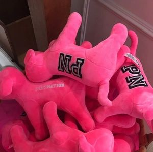 Vs pink limited edition 2018 cozy dog large